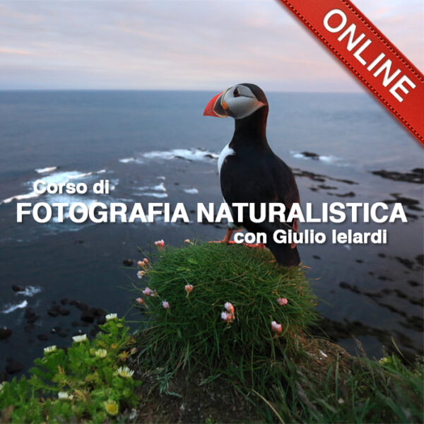 20200429 Fotografia Natura_1x1_Online
