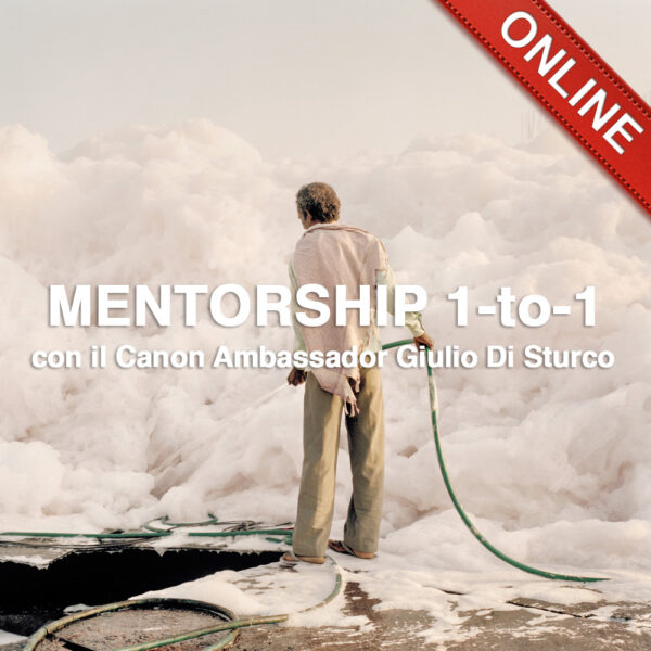 20200528 Mentorship 1-to-1 .G.Di Sturco_1x1_Online