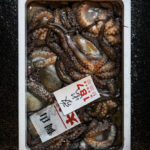 Andrea Di Lorenzo Osaka Wholesale Fish Market Honjo – Japan