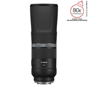 Canon RF 800mm F11 IS STM (winter campaign 2022)