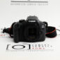 Canon EOS 4000D + EF-S 18-55mm f/3.5-5.6 IS II usato sensore