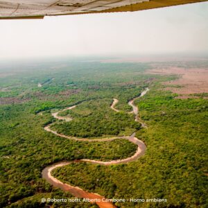 Il regno del giaguaro - Workshop in Brasile (Pantanal) (vista aereo)