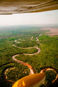 Il regno del giaguaro - Workshop in Brasile (Pantanal) (vista aereo)