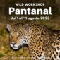 Wild workshop - Pantanal