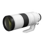 RF-200-800mm-F6.3-9-IS-USM-FSL-with-Cap