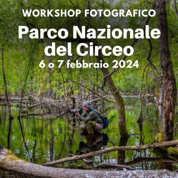 Workshop di Fotografia Naturalistica al PARCO NAZIONALE DEL CIRCEO