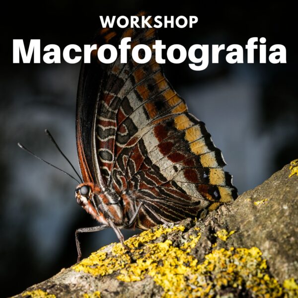 Workshop macrofotografia